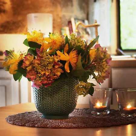 Le Дом отдыха *